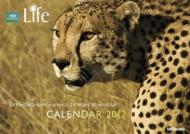 BBC Life Meet the Planet Calendar 2012