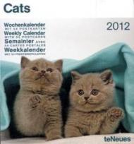 Cats, Wochenkalender 2012