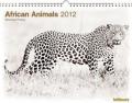 African Animals 2012