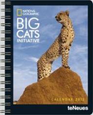 National Geographic Calendar Big Cats 2012 Buchkalender