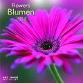 Blumen 2014. Broschürenkalender