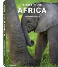 Michael Poliza, Animals of Africa