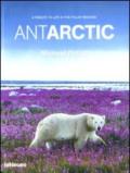 Antarctic. A tribute to life in the polar regions. Ediz. multilingue