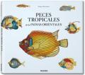 Fallours, fishes. Ediz. italiana, spagnola e portoghese