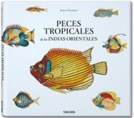 Fallours, fishes. Ediz. italiana, spagnola e portoghese