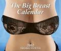 Big Breasts - 2011 Calendar