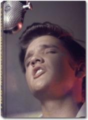 Elvis and the birth of rock and roll. Ediz. tedesca, inglese e francese