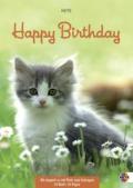 Happy Birthday, Motiv Katzen