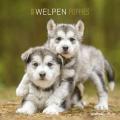 Calendario da parete 2020 Cani Alpha Edition - 30x30