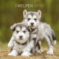 Calendario da parete 2020 Cani Alpha Edition - 30x30
