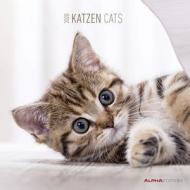 Calendario da parete 2020 Gatti Alpha Edition - 30x30