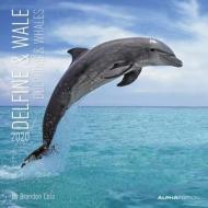 Calendario da parete 2020 Delfini e balene Alpha Edition - 30x30