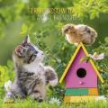 Calendario da parete 2020 Amici animali Alpha Edition - 30x30