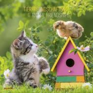 Calendario da parete 2020 Amici animali Alpha Edition - 30x30