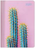 Agenda 2020 Cactus, 12 mesi, settimanale Alpha Edition Ladytimer - 10,7x15,2