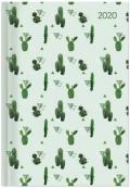 Agenda 2020 Cactus, 12 mesi, giornaliera Alpha Edition Style - 15x21