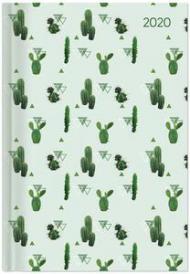 Agenda 2020 Cactus, 12 mesi, giornaliera Alpha Edition Style - 15x21
