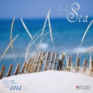 By the Sea 2012. What a Wonderful World: Am Meer