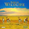 African Wildlife, Broschürenkalender 2009