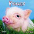 Piggies, Broschürenkalender 2010
