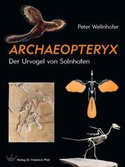 ARCHAEOPTERYX: Der Urvogel von Solnhofen