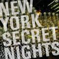 New York secret nights. Ediz. inglese e tedesca. Con disco in vinile
