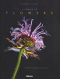 A tribute to flowers. Plants under pressure. Ediz. tedesca, inglese e francese