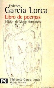 LIBRO DE POEMAS