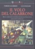 Il volo del calabrone. Breve storia dell'economia italiana nel Novecento