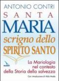 Santa Maria scrigno dello Spirito Santo. La mariologia nel contesto della storia della salvezza