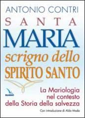 Santa Maria scrigno dello Spirito Santo. La mariologia nel contesto della storia della salvezza