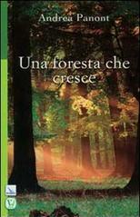 Una foresta che cresce