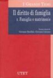 Il diritto di famiglia: 1