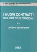 I nuovi contratti nella prassi civile e commerciale: 6