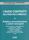 I nuovi contratti nella prassi civile e commerciale. Pubblica amministrazione e settori emergenti