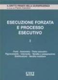 L'Esecuzione forzata e processo esecutivo