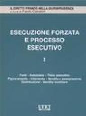 L'Esecuzione forzata e processo esecutivo