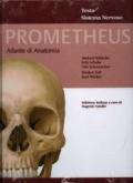 Prometheus. Atlante di anatomia. Testa, sistema nervoso