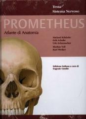 Prometheus. Atlante di anatomia. Testa, sistema nervoso