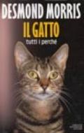 Il gatto: tutti i perché