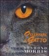 Osservare il gatto