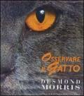 Osservare il gatto