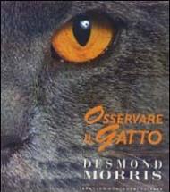 Osservare il gatto