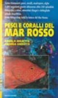 Pesci e coralli del Mar Rosso