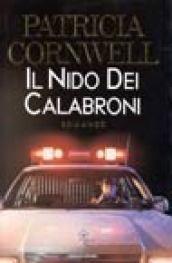 Il nido dei calabroni