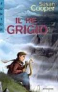 Il re grigio