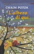 L'albero di qui