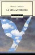 Vita anteriore