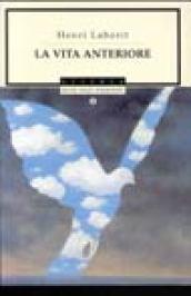 Vita anteriore