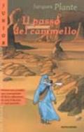 Il passo del cammello